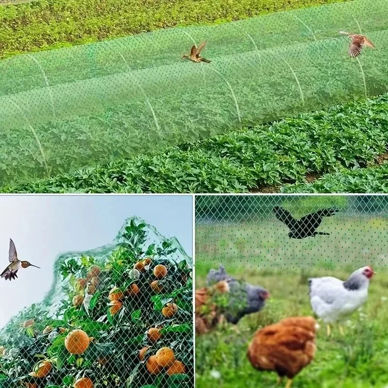 Filet de jardin en maille verte tissée