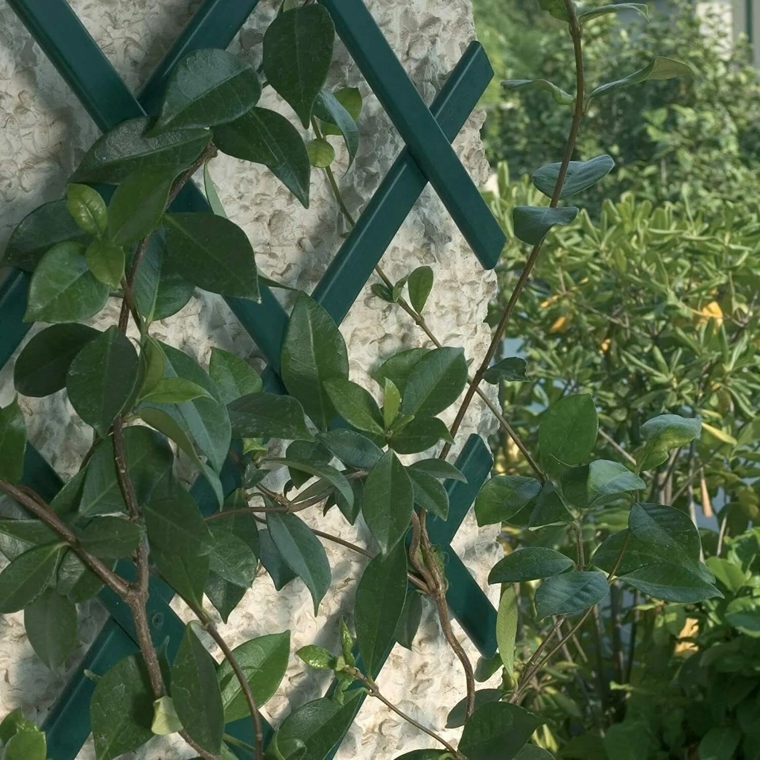 Treillis de jardin extensible