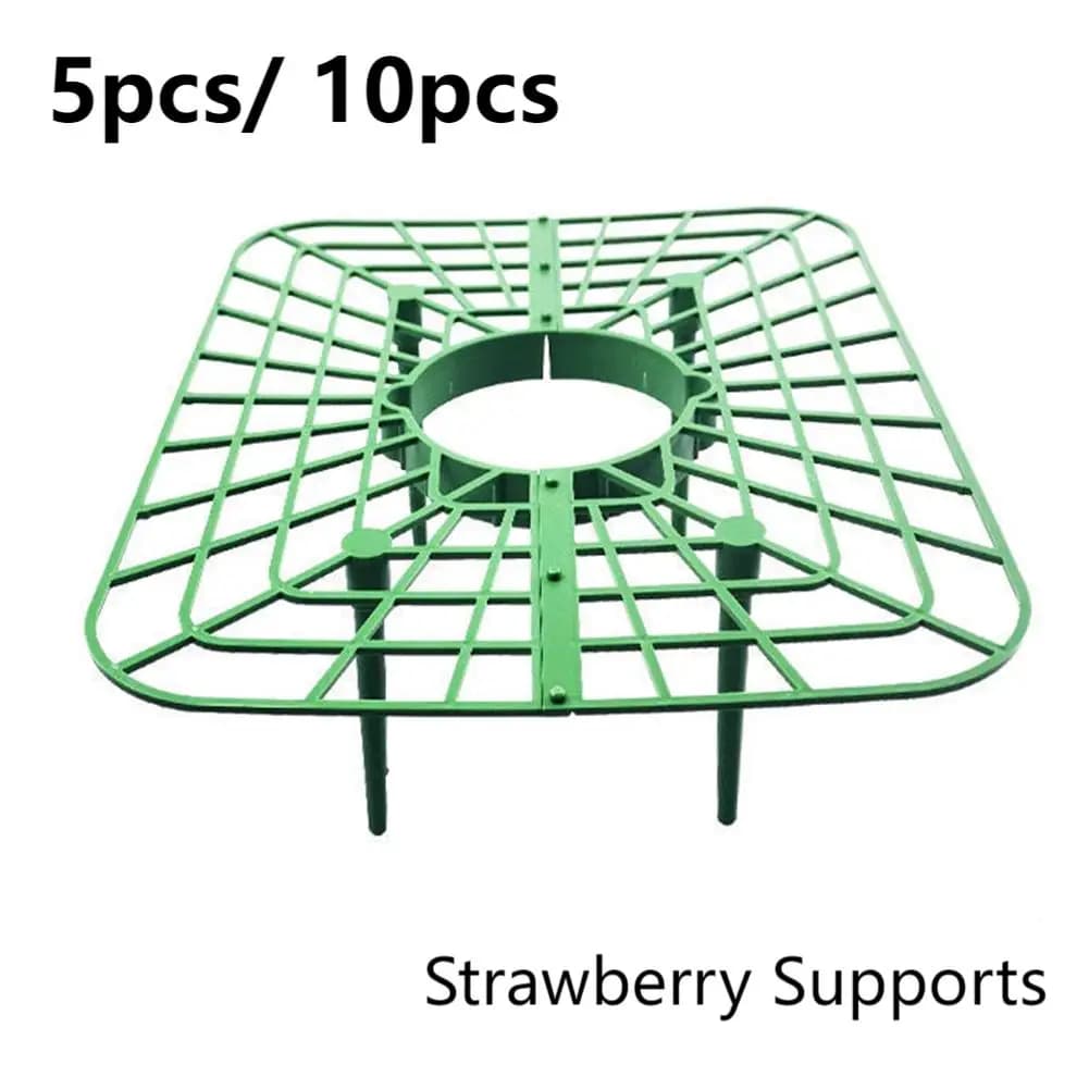 Supports de plantes Harvey 4