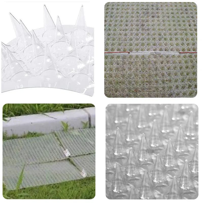 1 pièces clôture mur pointes chat Animal répulsif antivol murs hangars arrêt Anti oiseau épine intrus Protection outil de sécurité