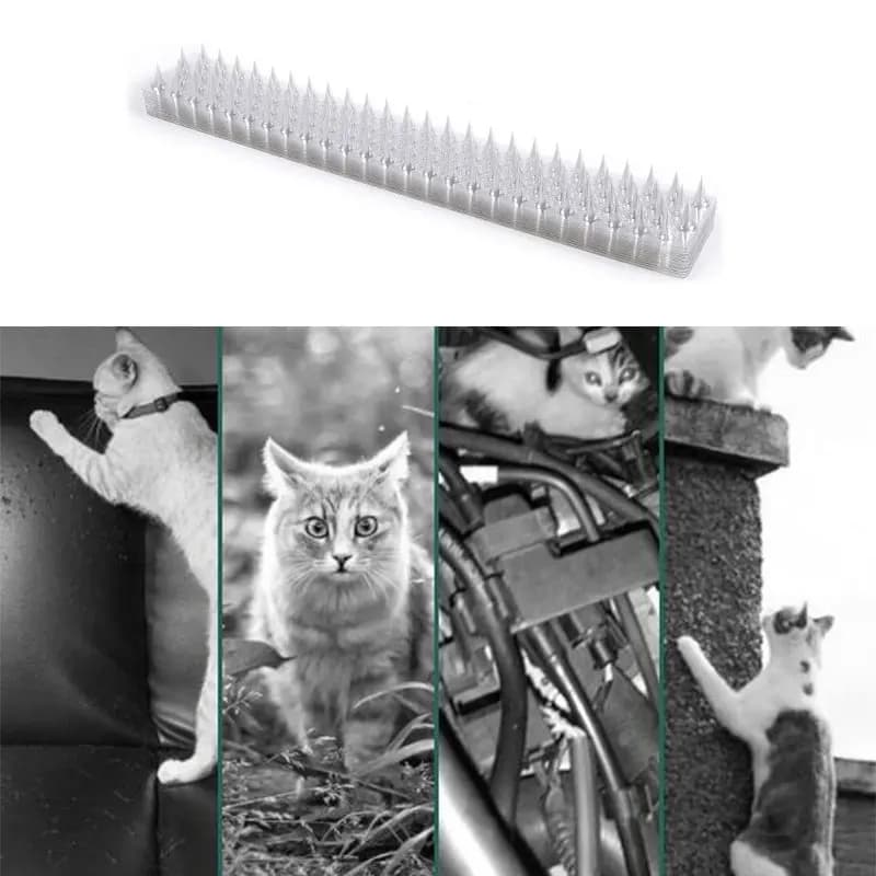 1 pièces clôture mur pointes chat Animal répulsif antivol murs hangars arrêt Anti oiseau épine intrus Protection outil de sécurité
