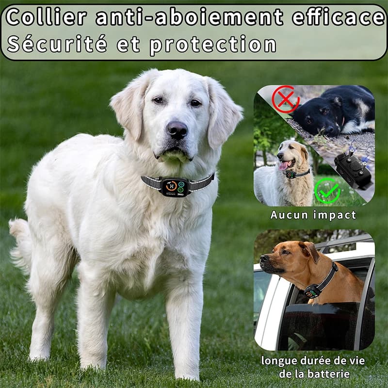 Collier d'écorce pour chien, fonction de Vibration sonore, étanche IP67, double moteur, affichage couleur LED, Rechargeable