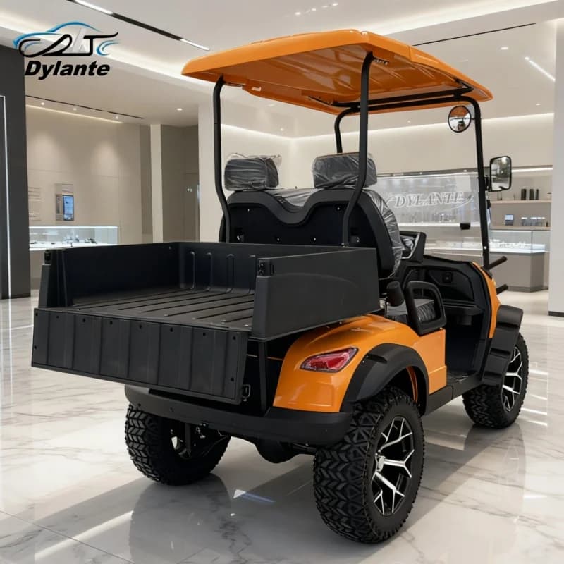 Chariot de Golf électrique 2 places avec espace de rangement Extra-Large, panneau solaire, batterie au Lithium, véhicule tout-terrain de chasse