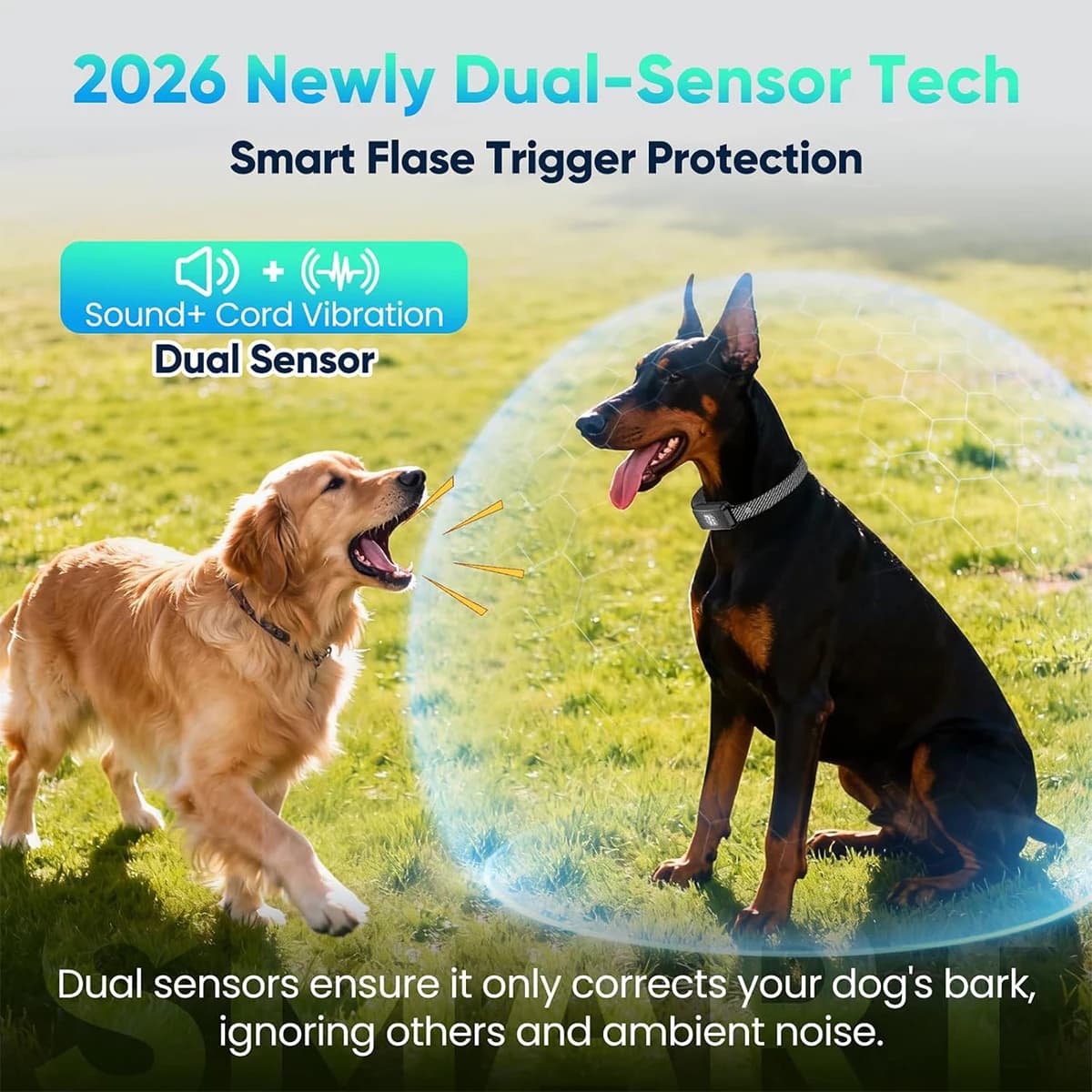 Collier anti-aboiement pour chiens de grande, moyenne et petite taille, collier anti-aboiement efficace, collier anti-aboiement intelligent, collier anti-aboiement rechargeable avec 7 niveaux