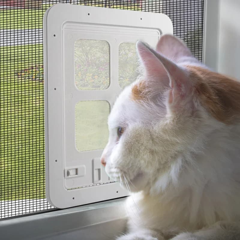 Porte coulissante automatique pour chien