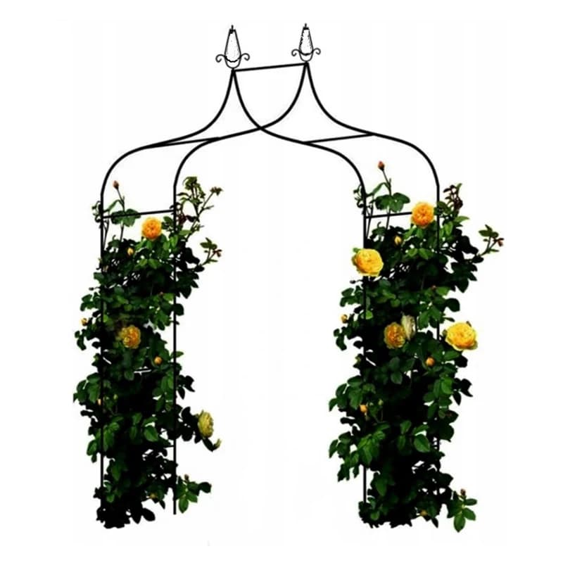 Plante de jardin de mariage, arc de roses grimpantes, Support de fleurs, Support de vigne, treillis de raisin, cour extérieure