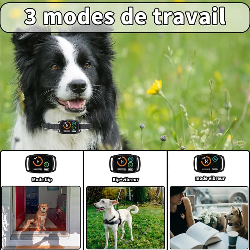 Collier d'écorce pour chien, fonction de Vibration sonore, étanche IP67, double moteur, affichage couleur LED, Rechargeable