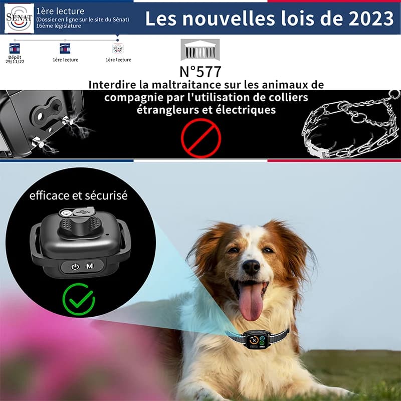 Collier d'écorce pour chien, fonction de Vibration sonore, étanche IP67, double moteur, affichage couleur LED, Rechargeable