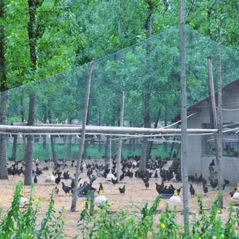 Filet de protection Anti-oiseaux