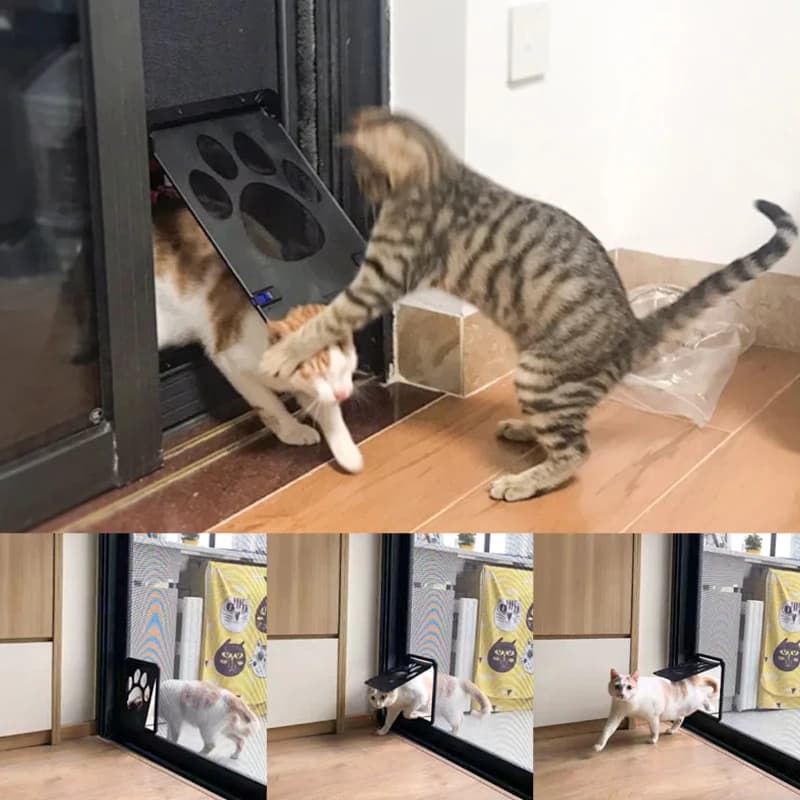 Porte pour animaux de compagnie en plein air chiens chats fenêtre porte maison entrez librement mode joli jardin nouvel écran verrouillable sûr facile à installer porte pour chien