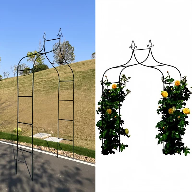Plante de jardin de mariage, arc de roses grimpantes, Support de fleurs, Support de vigne, treillis de raisin, cour extérieure