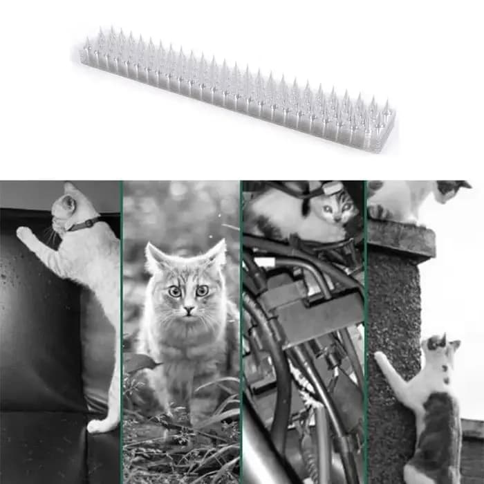 1 pièces clôture mur pointes chat Animal répulsif antivol murs hangars arrêt Anti oiseau épine intrus Protection outil de sécurité