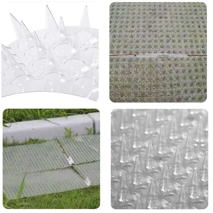 1 pièces clôture mur pointes chat Animal répulsif antivol murs hangars arrêt Anti oiseau épine intrus Protection outil de sécurité