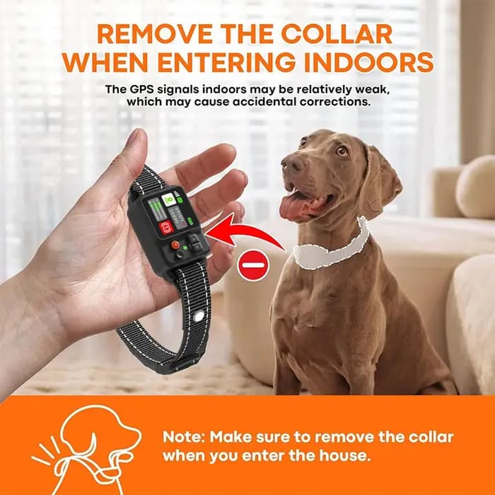Portée de couverture de clôture sans fil GPS pour chien 49-6561 pieds IP67