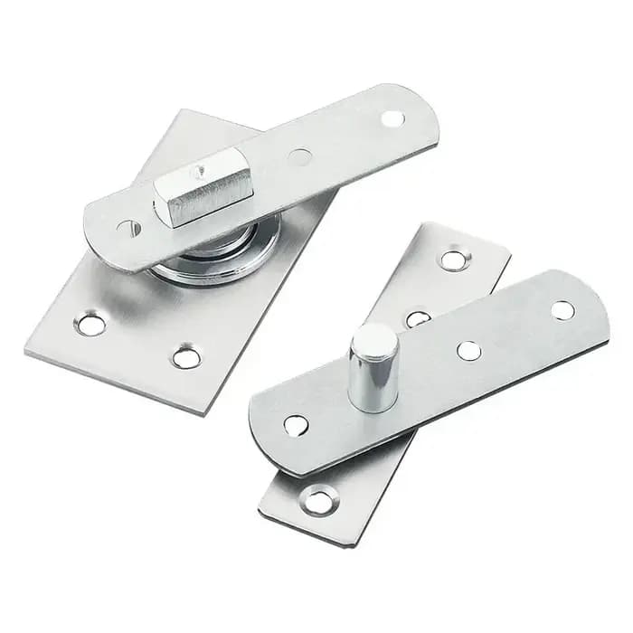 Charnière de porte pivotante en acier inoxydable