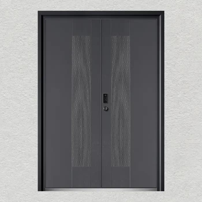 Porte d'entrée contemporaine personnalisée en aluminium et métal
